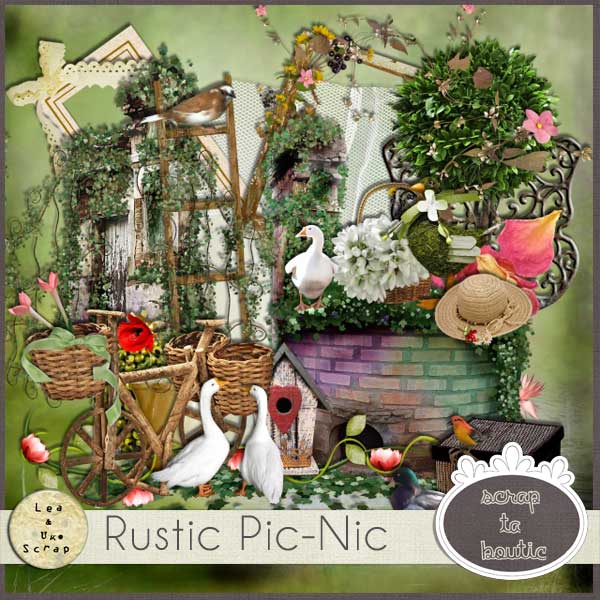 rustic picnic LUS