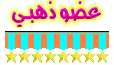 عضو ذهبى عضو ذهبى
