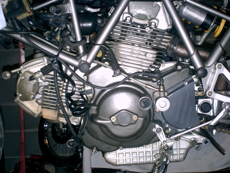 duc10.jpg