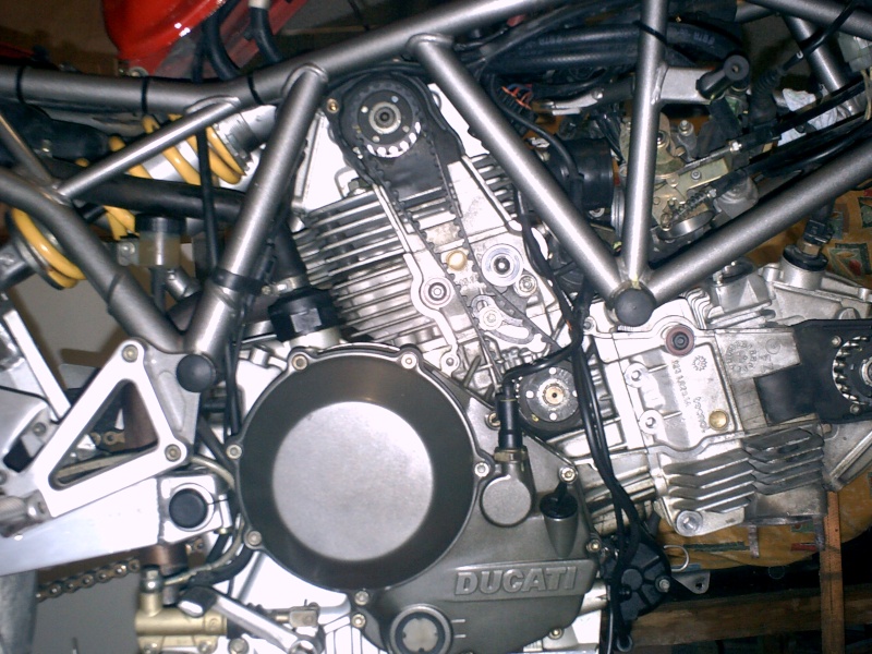 duc210.jpg