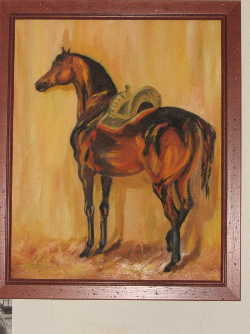 cheval andalous 2007