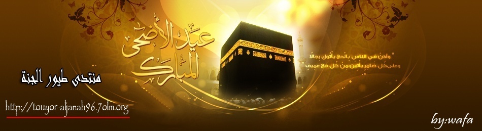 منتدى طيورالجنة