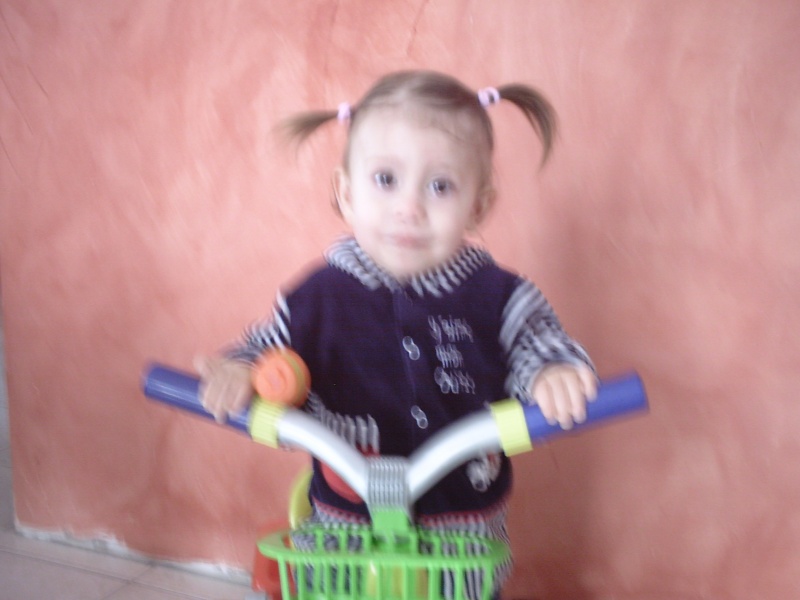 pict0015.jpg