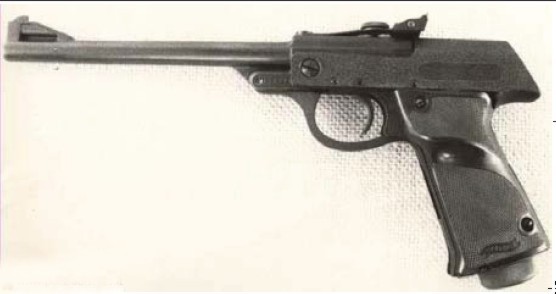 pistol10.jpg