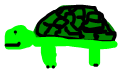 turtle11.png