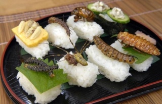 sushi-10.jpg
