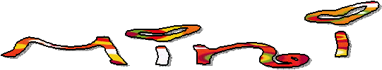 Section Mini ABVA
