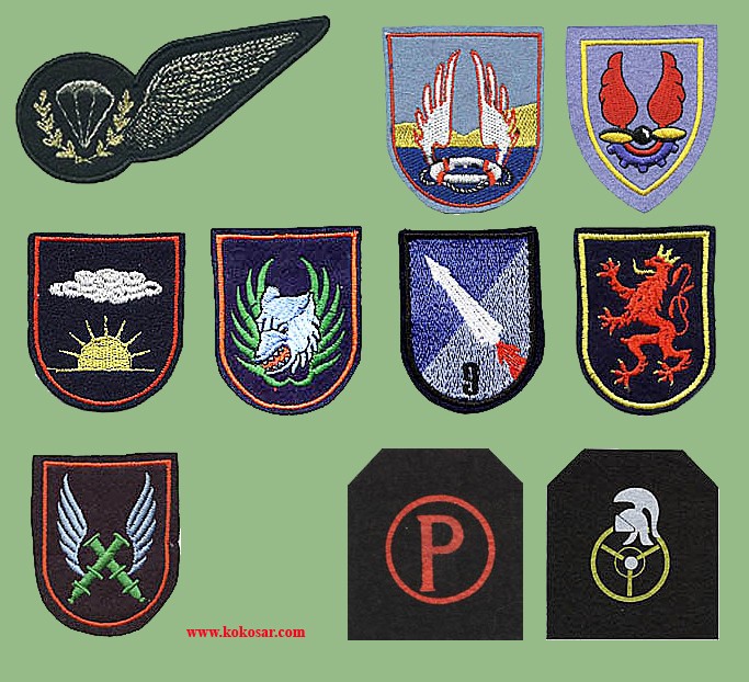 Belgian Army Insignia